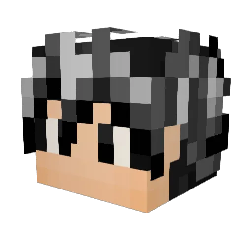 Dasel09 Minecraft avatar head, 3D render