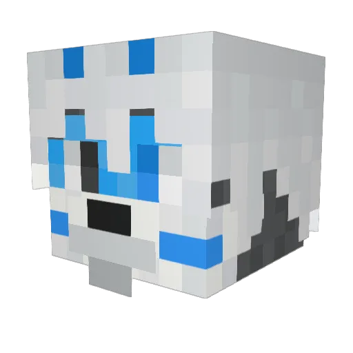 Dash0084 Minecraft avatar head, 3D render