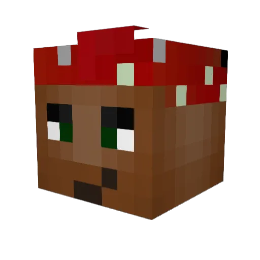 Dash1v9 Minecraft avatar head, 3D render