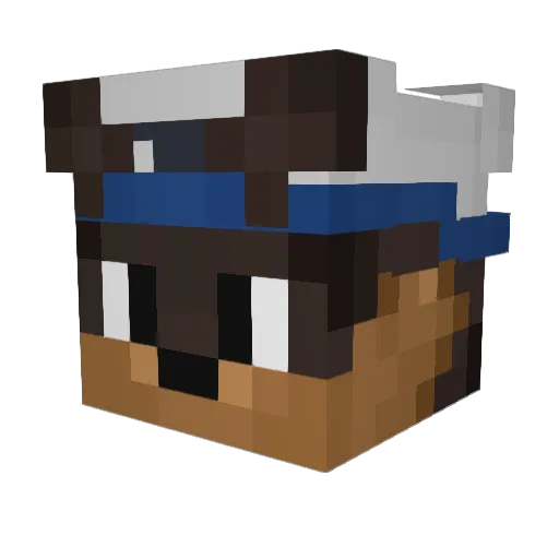DashDogYT Minecraft avatar head, 3D render