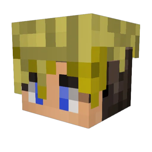 DashGravity Minecraft avatar head, 3D render