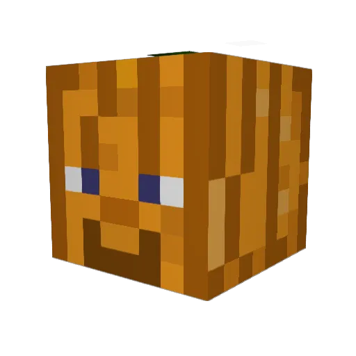 DashPum4 Minecraft avatar head, 3D render