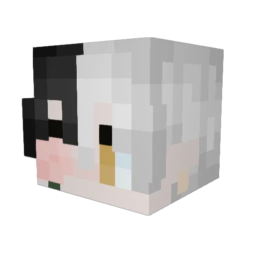 DashQueen Minecraft avatar head, 3D render