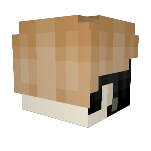 Dash_Of_Cyanide Minecraft avatar head, 3D render