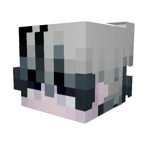 Dash_______ Minecraft avatar head, 3D render
