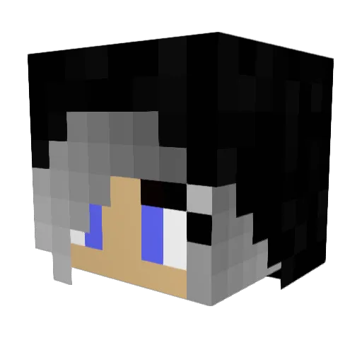 Dasha1213 Minecraft avatar head, 3D render