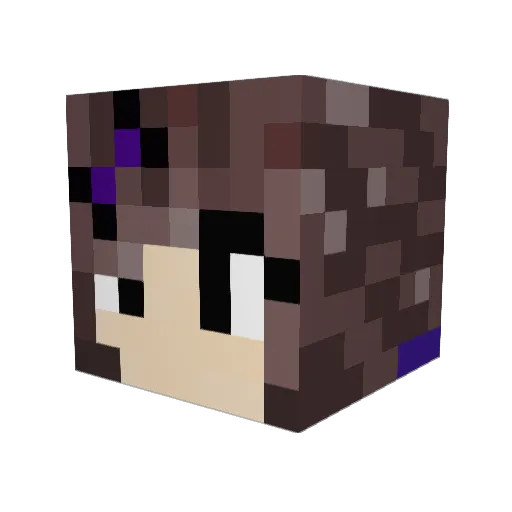 Dasharock Minecraft avatar head, 3D render