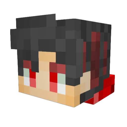 Dasher095 Minecraft avatar head, 3D render