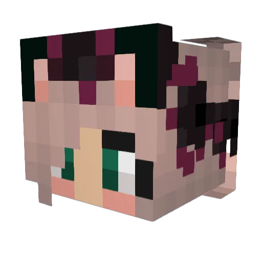 Dasherist Minecraft avatar head, 3D render