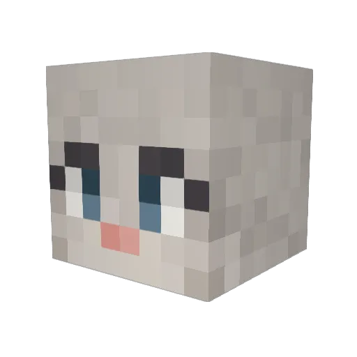 DashiAshi Minecraft avatar head, 3D render