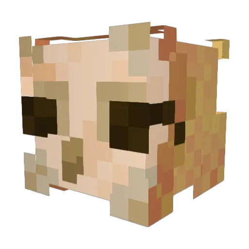 DashiMC Minecraft avatar head, 3D render