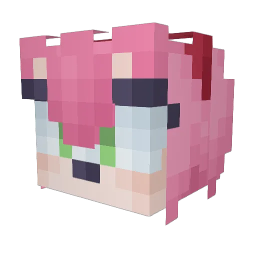 Dashie010203 Minecraft avatar head, 3D render