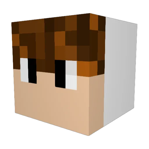 DashiellZN Minecraft avatar head, 3D render