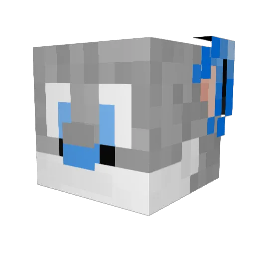 Dashimus_ Minecraft avatar head, 3D render