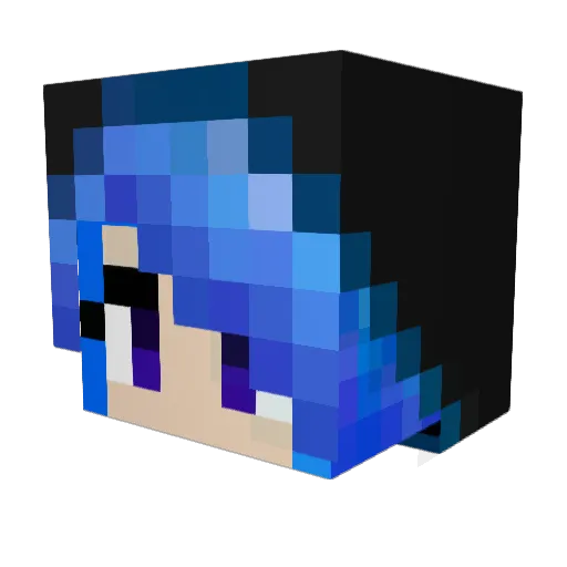 Dashua Minecraft avatar head, 3D render