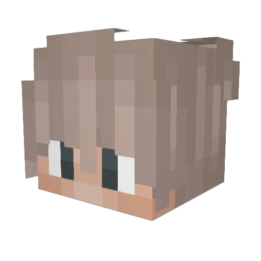 Dashzorpi Minecraft avatar head, 3D render