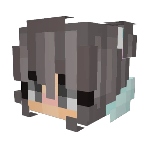 Dasicalz Minecraft avatar head, 3D render