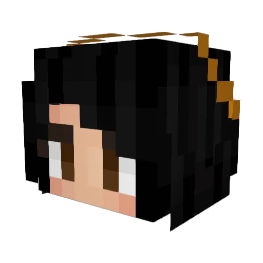 Dasm3 Minecraft avatar head, 3D render