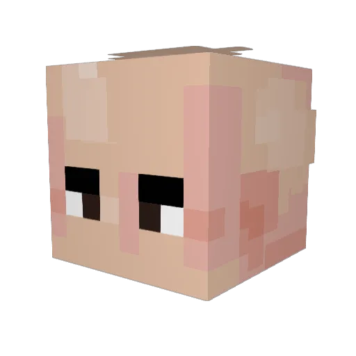 Dasor_ Minecraft avatar head, 3D render