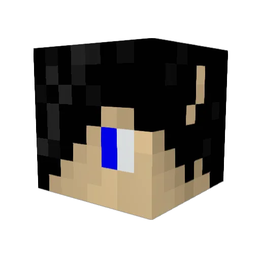 Dassoned Minecraft avatar head, 3D render