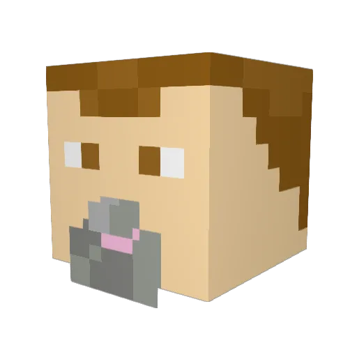 Dassssh Minecraft avatar head, 3D render