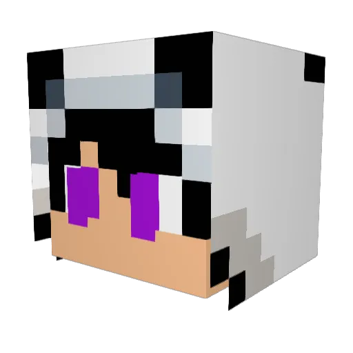 Dastrea Minecraft avatar head, 3D render