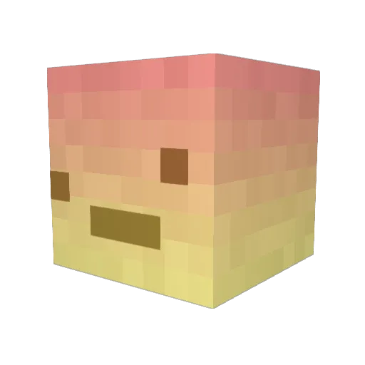 Dastyhippo Minecraft avatar head, 3D render