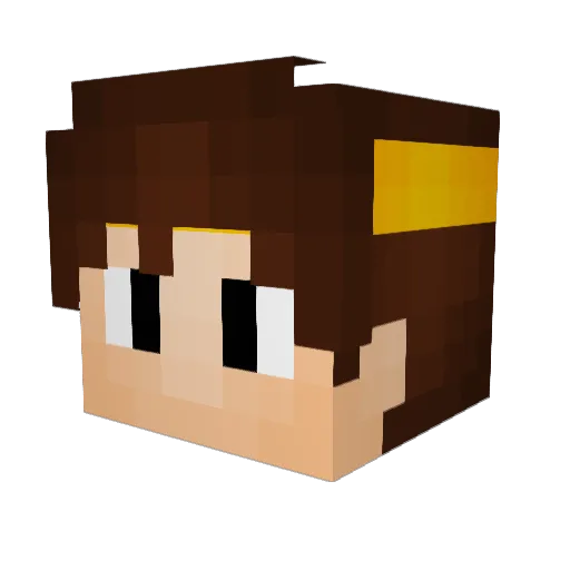 DatCatOP Minecraft avatar head, 3D render