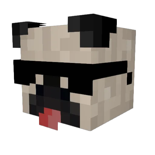 DatOneCoolGuy_01 Minecraft avatar head, 3D render