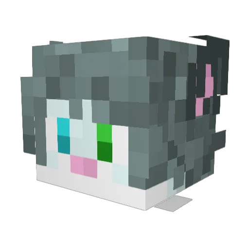 DatOneFenBoi Minecraft avatar head, 3D render
