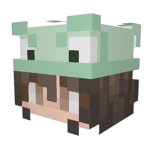 DatPorpoise Minecraft avatar head, 3D render