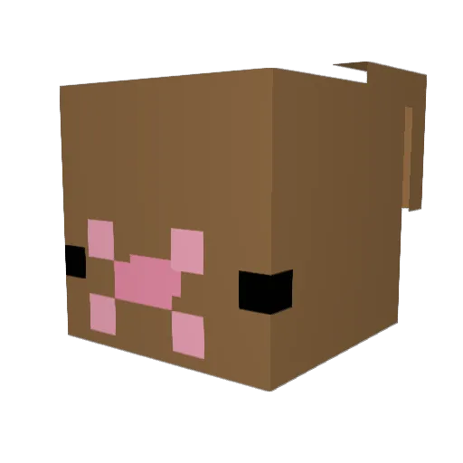 DatPurpleCat Minecraft avatar head, 3D render