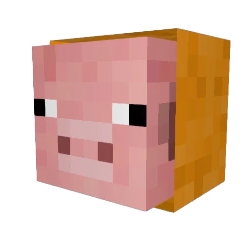DatRickster1 Minecraft avatar head, 3D render