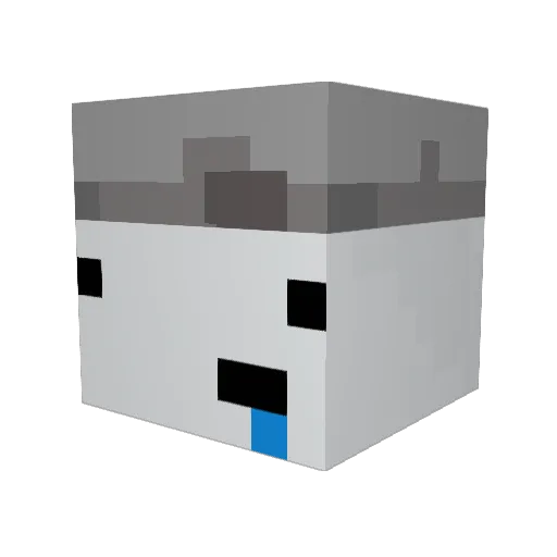 DatSodaKid Minecraft avatar head, 3D render