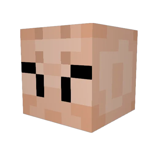 DatWildMan Minecraft avatar head, 3D render