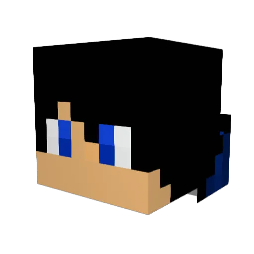 Dat_NameLP Minecraft avatar head, 3D render