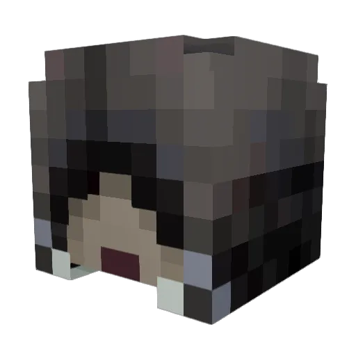 DataDel Minecraft avatar head, 3D render