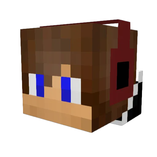 DataPvP Minecraft avatar head, 3D render