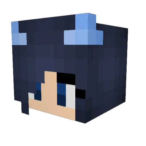 DataType Minecraft avatar head, 3D render
