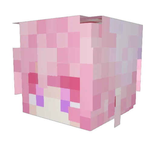 Datafruits Minecraft avatar head, 3D render