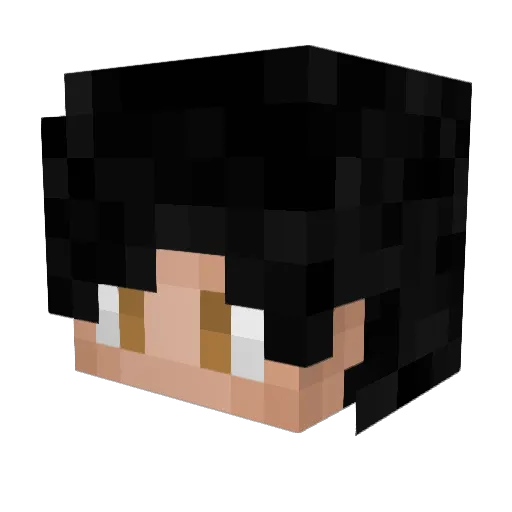 Datentoaster Minecraft avatar head, 3D render