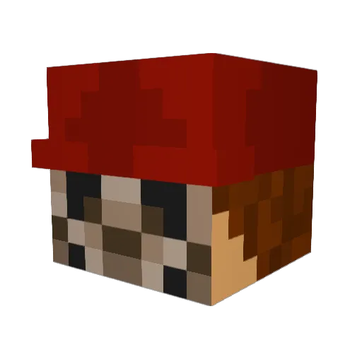 DatisK Minecraft avatar head, 3D render