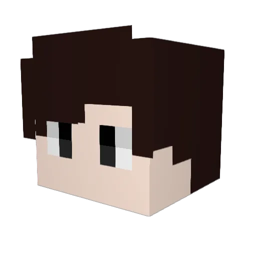 Datjesusfreak Minecraft avatar head, 3D render