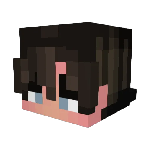 Datrix_14 Minecraft avatar head, 3D render