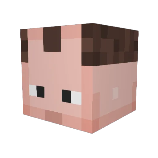 DaumsRiechkolben Minecraft avatar head, 3D render