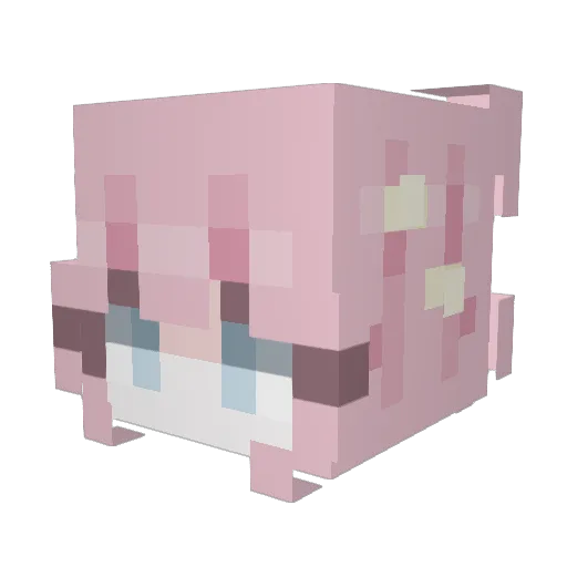 Daund Minecraft avatar head, 3D render