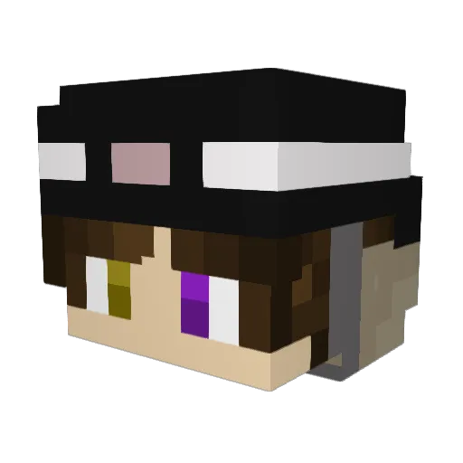 DauntlessN9 Minecraft avatar head, 3D render