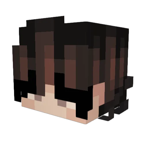 Dausel1234 Minecraft avatar head, 3D render