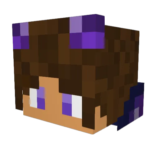 Dauveed Minecraft avatar head, 3D render