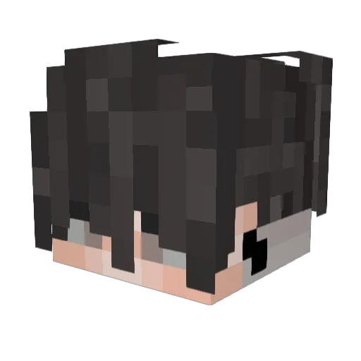 DavPreCtoX Minecraft avatar head, 3D render